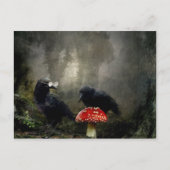 Fungi-Experten Postkarte (Vorderseite)
