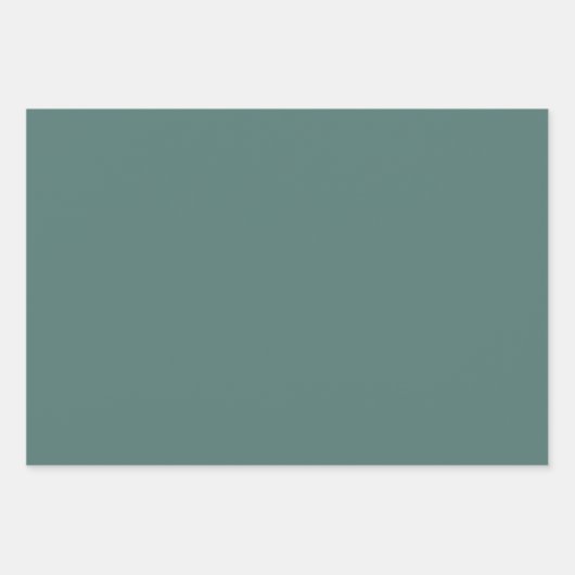 Fungi Forest Geschenkpapier Set (Vorderseite 2)