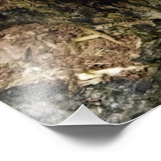 FUNGI FOTODRUCK (Ecke)