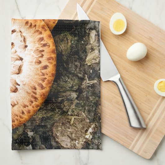 FUNGI GESCHIRRTUCH (Viertel Falte)