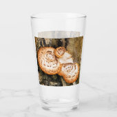 FUNGI GLAS (Rückseite)