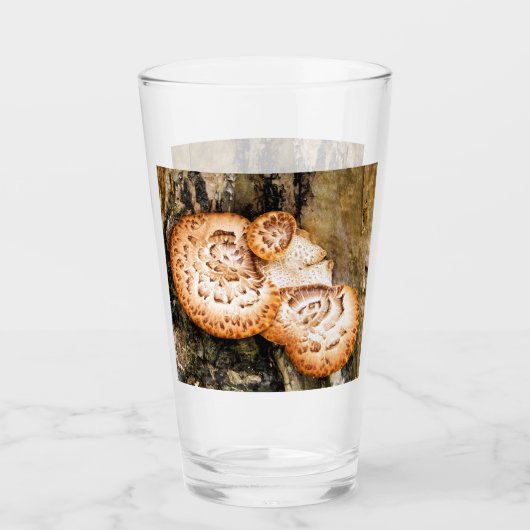 FUNGI GLAS (Vorderseite)