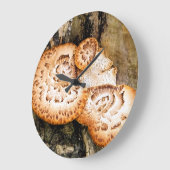FUNGI  GROßE WANDUHR (Winkel)