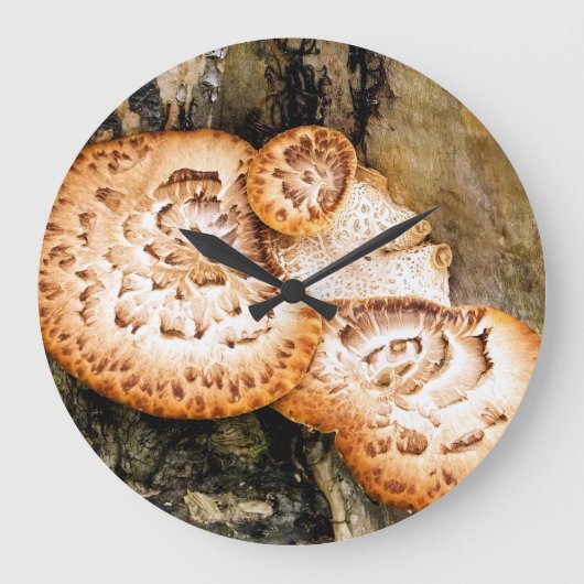 FUNGI  GROßE WANDUHR (Vorderseite)