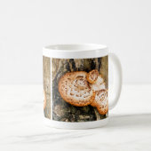 FUNGI KAFFEETASSE (VorderseiteRechts)