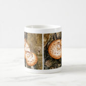 FUNGI KAFFEETASSE (Mittel)
