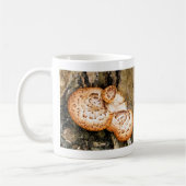 FUNGI KAFFEETASSE (Links)