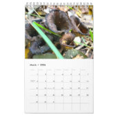 Fungi-Kalender 2026 Kalender (Mär 2026)
