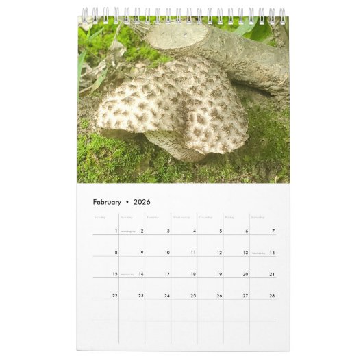 Fungi-Kalender 2026 Kalender (Feb 2026)