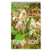 Fungi-Kalender 2026 Kalender (Titelbild)