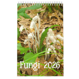 Fungi-Kalender 2026 Kalender