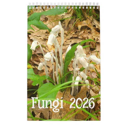 Fungi-Kalender 2026 Kalender (Titelbild)