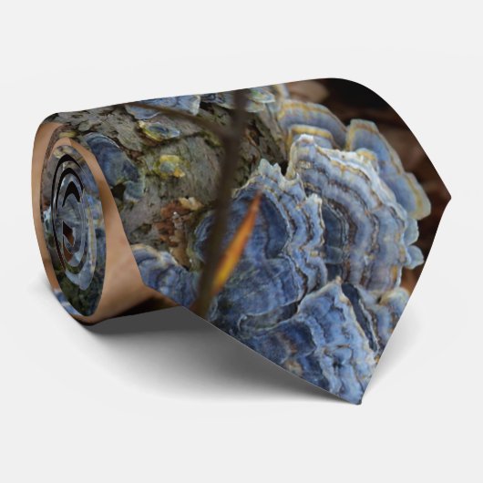 Fungi Krawatte (Gerollt)