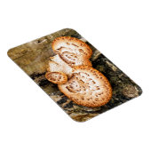 FUNGI MAGNET (Rechte Seite)