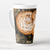 FUNGI MILCHTASSE (Linke Ecke)