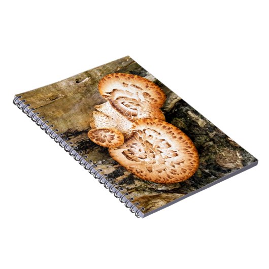 FUNGI NOTIZBLOCK (Rechte Seite)