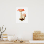 Fungi Poster (Küche)