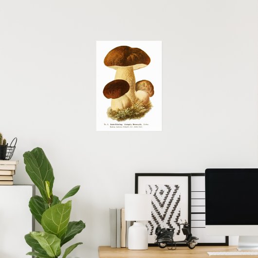 Fungi Poster (Heimbüro)