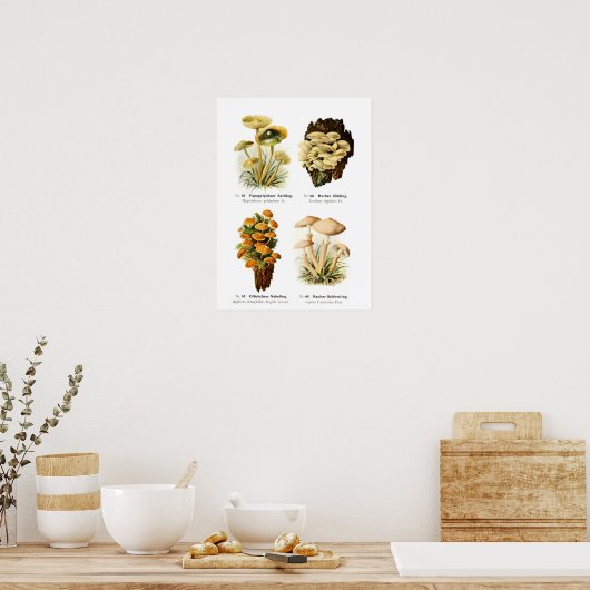 Fungi Poster (Küche)