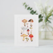 Fungi Postkarte (Stehend Vorderseite)