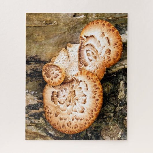 FUNGI PUZZLE (Vertikal)