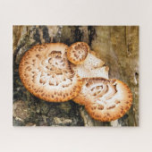 FUNGI PUZZLE (Horizontal)