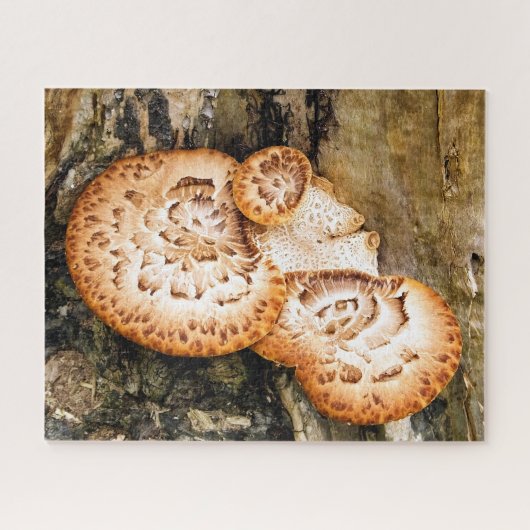 FUNGI PUZZLE (Horizontal)