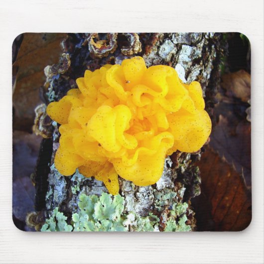 Fungi Tremella Mesenterica Mouse Mat Mousepad (Vorne)