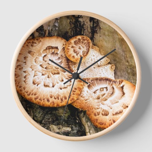 FUNGI  UHR (Vorderseite)