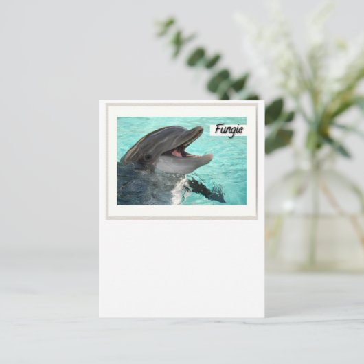 Fungie The Dolphin Postcard Postkarte (Stehend Vorderseite)
