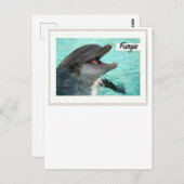 Fungie The Dolphin Postcard Postkarte (Vorne/Hinten)