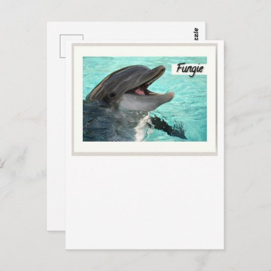 Fungie The Dolphin Postcard Postkarte (Vorne/Hinten)