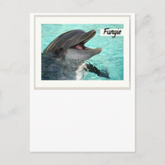 Fungie The Dolphin Postcard Postkarte (Vorderseite)