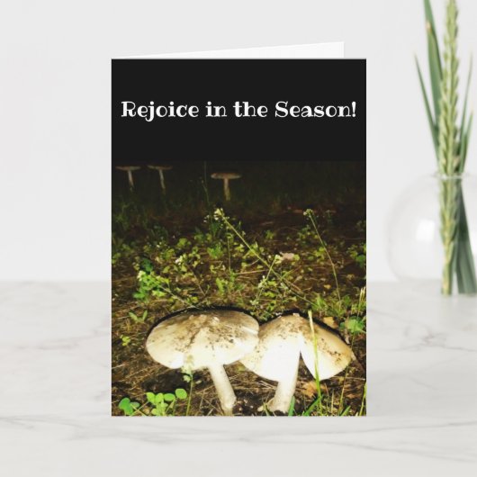 "Fungshrooms"-Osterkarte Karte (Vorderseite)