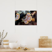 Fungus an einer Zweigstelle Poster (Küche)