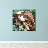 Fungus marches forward leinwanddruck (Insitu (Holzboden))