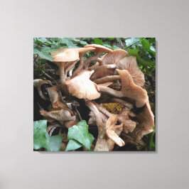 Fungus marches forward leinwanddruck