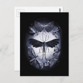 Fungus Moths in Twighlight Postkarte (Vorne/Hinten)