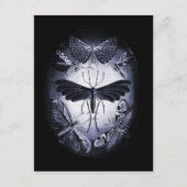 Fungus Moths in Twighlight Postkarte (Vorderseite)