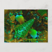 Fungus Postkarte (Vorderseite)