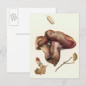 Fungus Postkarte (Vorne/Hinten)