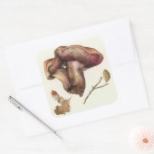 Fungus Quadratischer Aufkleber (Umschlag)