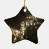 Funkelnde Außenbaumlichter Stern Ornament (Hinten)