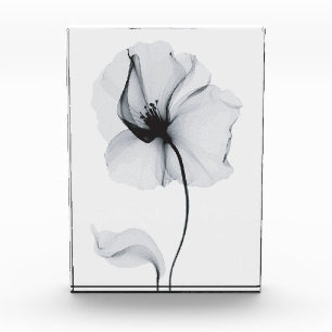 Funkelnde Blüte: Des Natur strahlendes Spiegelbild Fotoblock