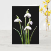 Funkelnde Snowdrops Karte (Gelbe Blume)