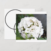 Funkelnde weiße Blumen Hochzeit Save The Date (Vorne/Hinten)