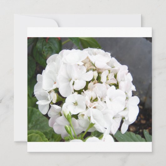 Funkelnde weiße Blumen Hochzeit Save The Date (Vorderseite)