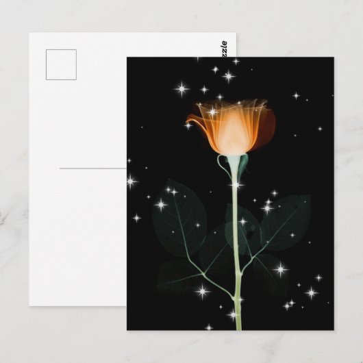 Funkelnde X-Ray-Blume - Orange Postkarte (Vorne/Hinten)