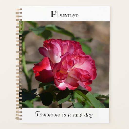 Funkelnder Rosenplaner Planer (Vorderseite)