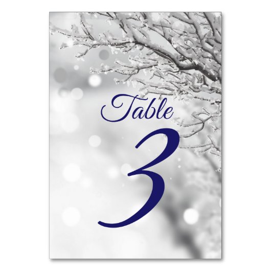 Funkelnder Winter Schneeeis-Hochzeit Tischnummer (Vorderseite)